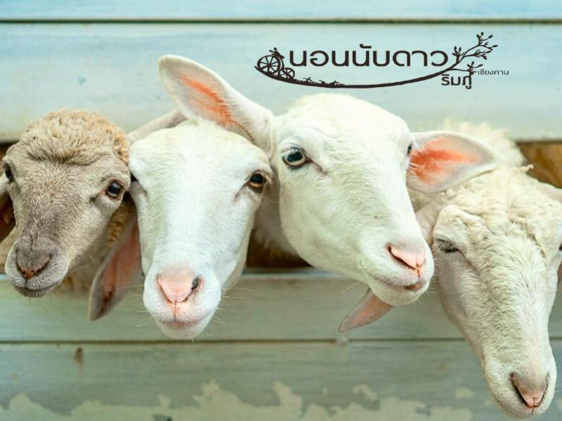 Norn Nab Dao Rimphu Resort Chiang Khan Bagian luar foto